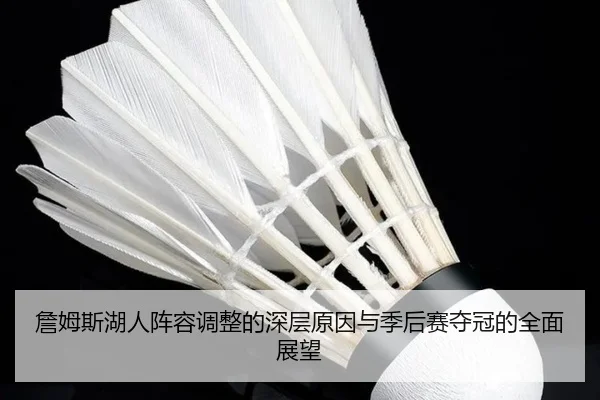 詹姆斯湖人阵容调整的深层原因与季后赛夺冠的全面展望